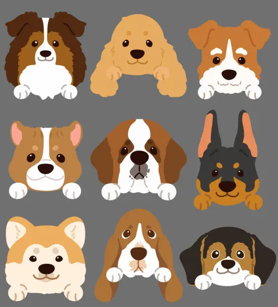 Vector illustration of Set of flat colored cute and simple dog heads with front paws