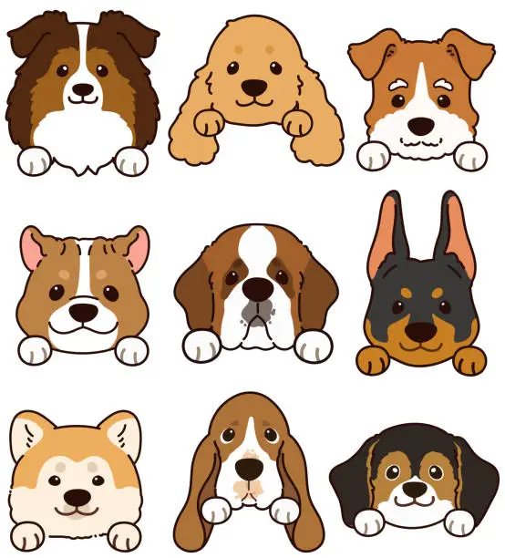Vector illustration of Set of outlined cute and simple dog heads with front paws