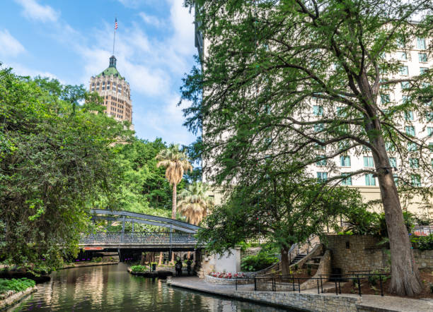 istock Tree lined footpath on the San Antonio River Walk 1498151020
