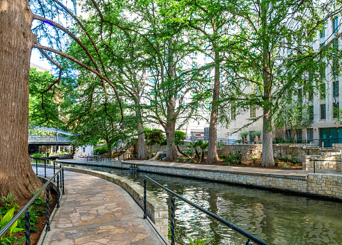 Tree lined footpath on the San Antonio River Walk