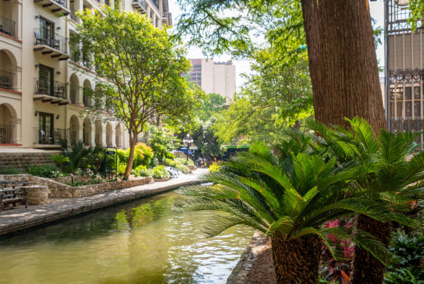 istock Tropical plants along the San Antonio River Walk 1498152881