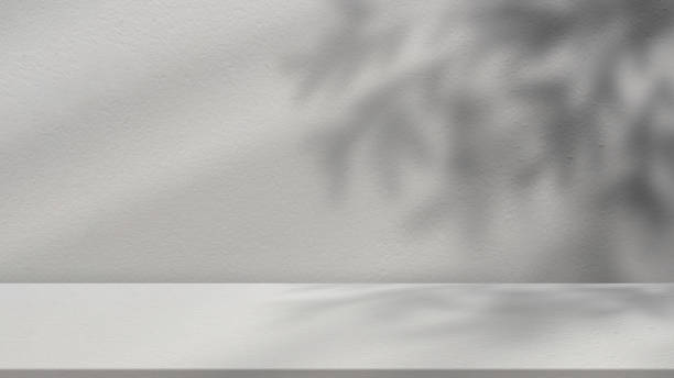 istock Studio background,Leaves shadow with sunbeam reflection on grey concrete wall background,Empty White Studio Room with abstract light on Cement floor,Backdrop display for product presentation 1498155729