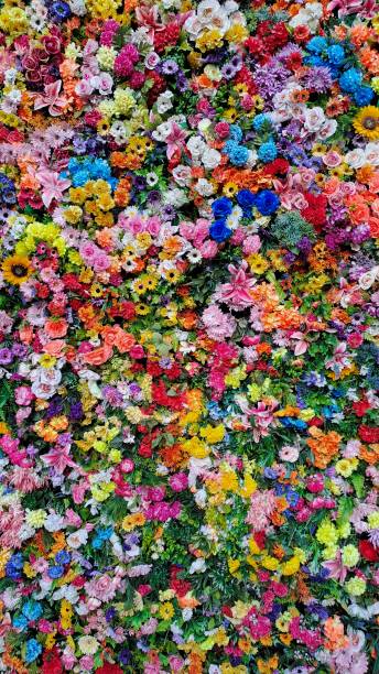 istock A beautiful wall of different flowers 1498156297