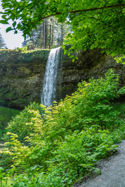 istock South Falls And Bushes 1498158865