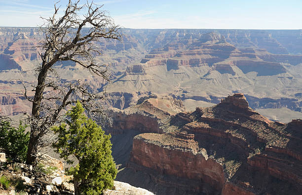 istock Grand Canyon National Park 149815892