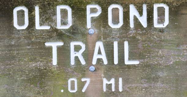 istock Old Wood Trail Sign 1498161523