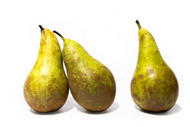 istock Pears isolated on the white background. 1498161681