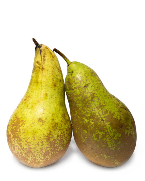 istock Pears isolated on the white background. 1498161727
