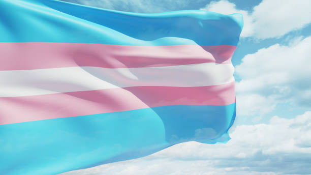istock Transgender flag waving in the wind against a cloudy sky. 1498162143