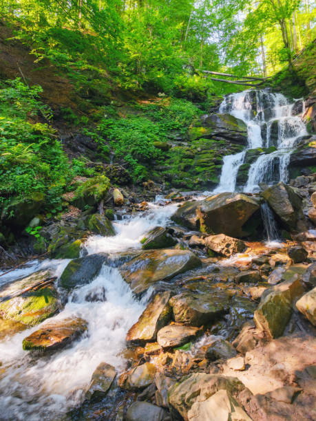 istock waterfall shypit of carpathian mountains 1498162970