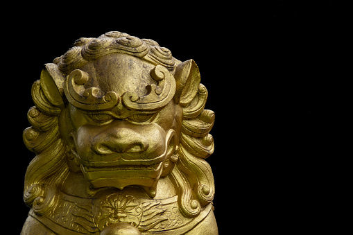 Beijing Forbidden City Palace and Bronze Lion