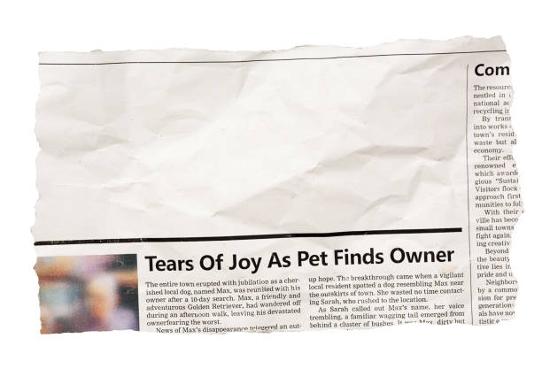 istock Crumpled newspaper clipping with blank space for your copy 1498163981