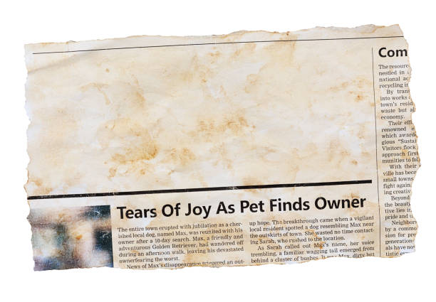 istock Stained old newspaper clipping with blank space for your copy 1498164144