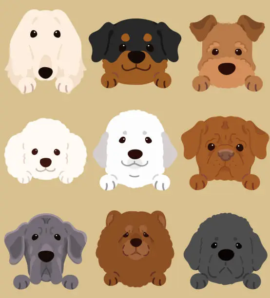 Vector illustration of Set of flat colored cute and simple dog heads illustrations wit front paws