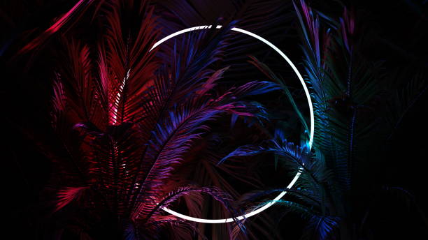 istock Neon glowing circle ring in palm leaves, tropical dark background. Blue purple yellow green color. Glowing linear volumetric neon round circle. 3d render 1498172425