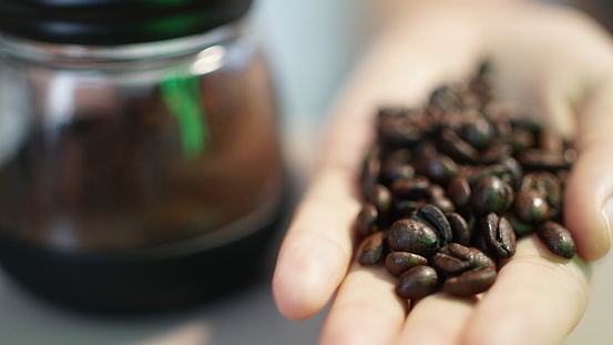 Whole coffee beans hold by a human hand, ready to grind in a coffee grinder