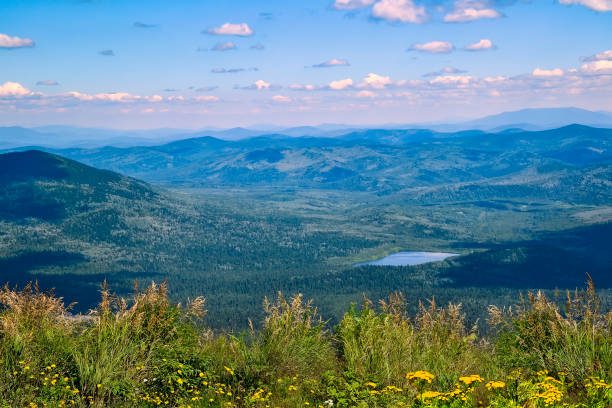 Summer view from the top of a mountain in Sheregesh