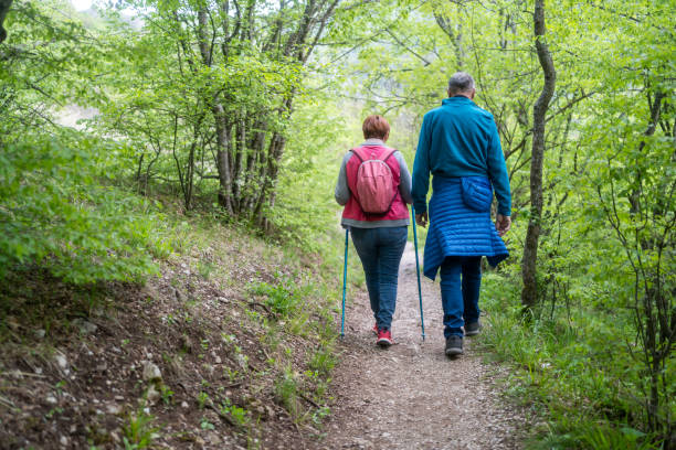 istock Senior couple walking in a forest. 1498182116