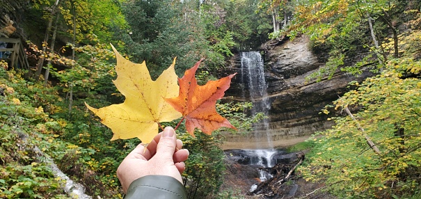 This is a photograph taken on a mobile phone outdoors of an unrecognizable woman holding autumn leaves by Munising Falls\nin Pictured Rocks, Michigan.