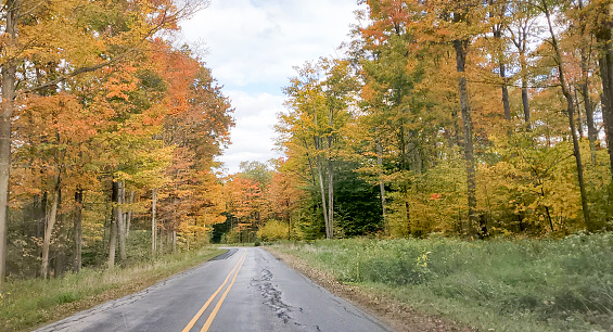 This is a photograph taken on a mobile phone outdoors during autumn of a scenic road in Allegheny National Forest, Pennsylvania.