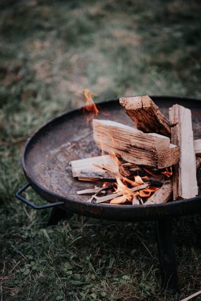 istock Firewood and sticks on an open firepit in the grass 1498183538