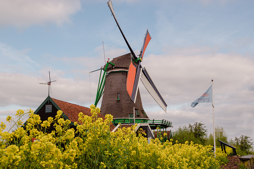 Windmills at the Zaanse Schans tourist location. A famous location where many tourists from home and abroad like to come and see.