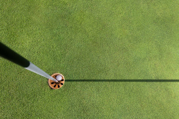 pallina da golf nella buca del campo da golf verde - lawn ball circle green foto e immagini stock
