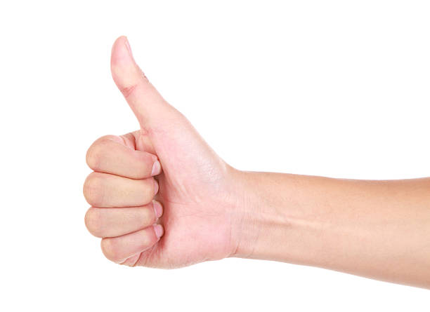 Thumbs up on white background Hands up thumbs on a white background, More similar images, please see my portfolio achievement aiming aspirations attitude stock pictures, royalty-free photos & images