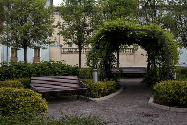 istock Paved path in a small park with a plant arching on it 1498197474