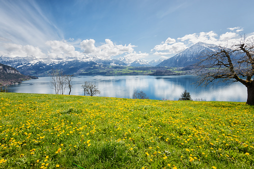 Hiking trail over lake Thunersee with mountain Niesen on the left