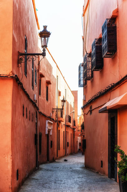 istock Secret Medina Passage in Marrakesh, Morocco 1498209990
