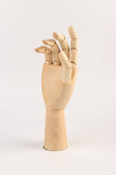 istock Wooden hand isolated on a white background. Copy space 1498210187