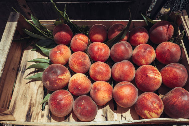 peaches