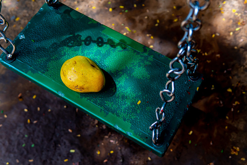 Resting gracefully on a green swing, a sun-kissed luscious mango beckons with its vibrant hues and promises a tantalizing symphony of flavours