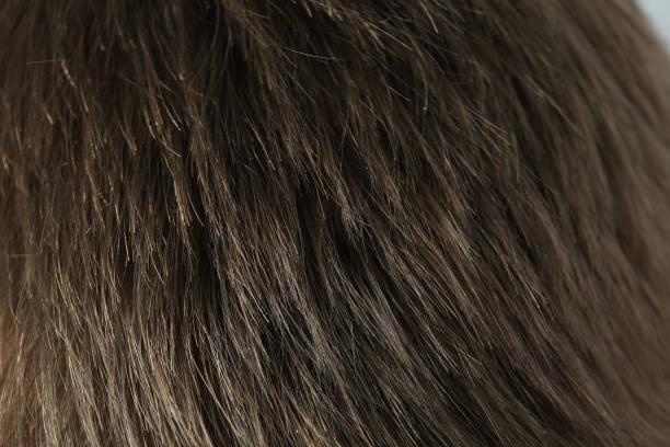istock Hairs of young man, close up and selective focus 1498217016