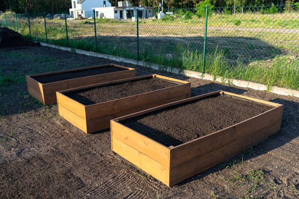istock Wooden crates for vegetables lined with agrotextile from the inside and filled with soil. 1498217911