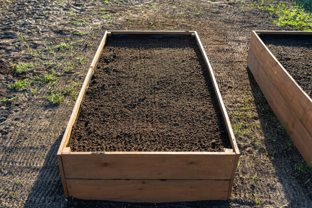 istock Wooden crates for vegetables lined with agrotextile from the inside and filled with soil. 1498217917