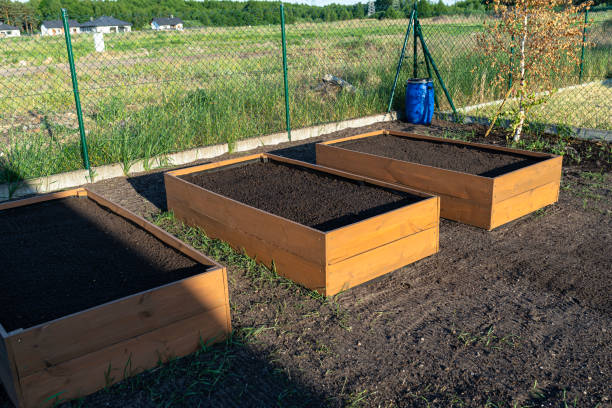istock Wooden crates for vegetables lined with agrotextile from the inside and filled with soil. 1498217939