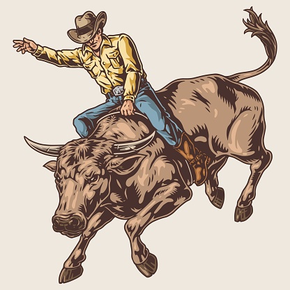 Rodeo bull vintage sticker colorful with Texas man sitting on aggressive wild animal galloping around arena vector illustration
