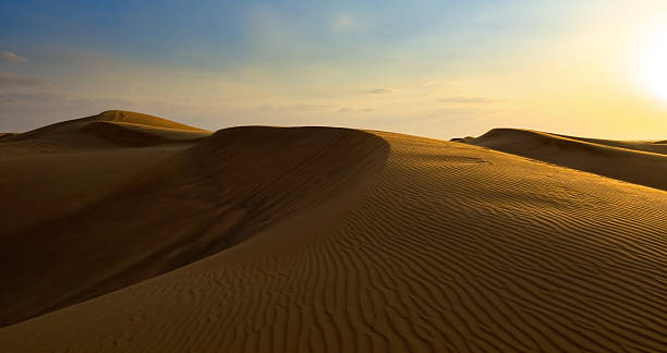 istock Safari at Sunset, Dubai 149822304