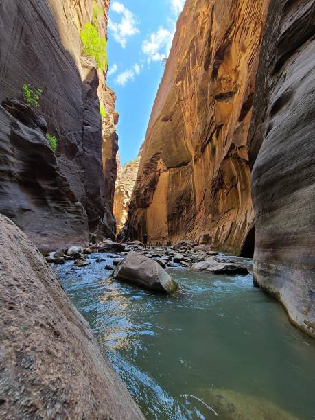 이 내로우 - zion narrows 뉴스 사진 이미지