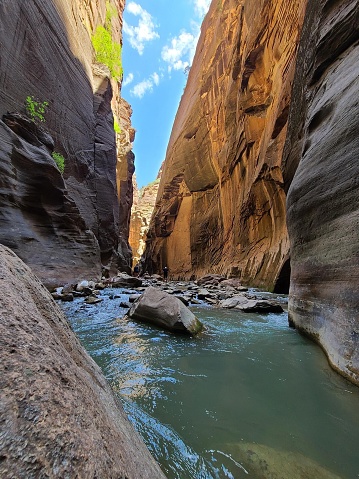 A man hiking into the narrows in Zion National Park, Utah USA.