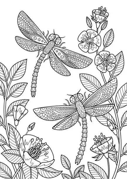 Vector illustration of Doodle coloring dragonflies flying in flowers. Black and white zentangle vector illustration.