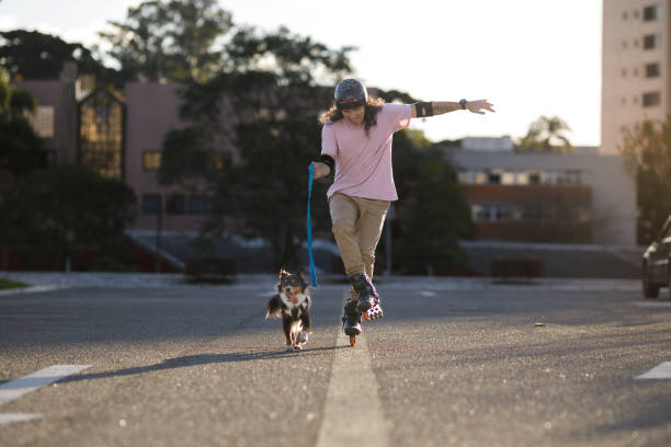 istock Man having fun roller blading with his dog on the street 1498230624