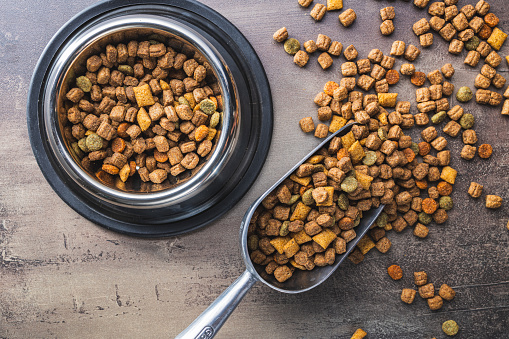Dry kibble pet food. Dog or cat food on the old table. Top view.