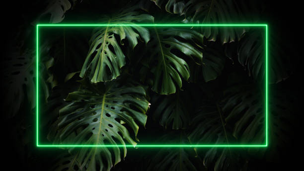 istock Neon frame on tropical palm leaves background. 80-90, neon, jungle concept. 1498238473