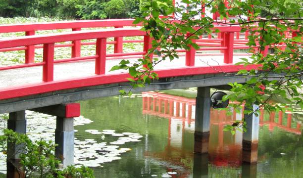 istock Japan. July. Red bridge above the pond surface. Reflection. 1498240960