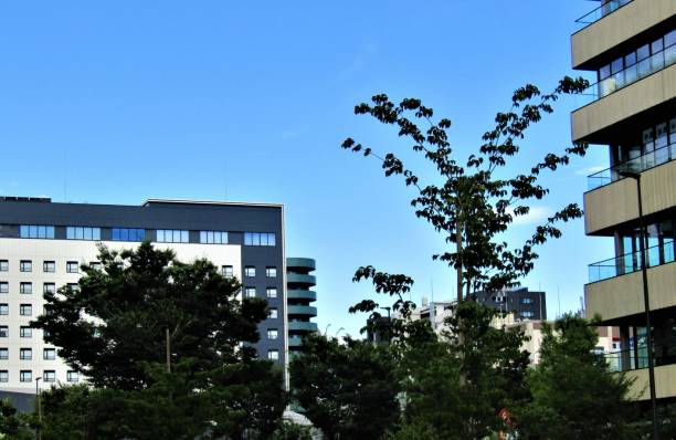 istock Japan. July. Cityscape. 1498245146