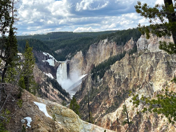 istock Grand Canyon of Yellowstone 1498246810