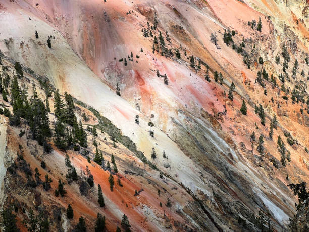 View of Lower Falls and the yellow canyon walls.\nThe Yellowstone River has carved down more than 1,000 feet to create the Grand Canyon of the Yellowstone